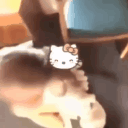 avatar Gottesgericht 🧸