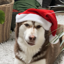 avatar Gottesgericht 🧸