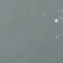 ooo.00.oo