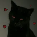 kvzunk