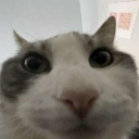 avatar rock paper scissors