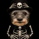 real.bones.