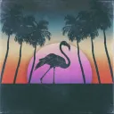 oceanhawk