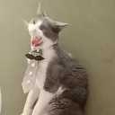 adrifr1804_64561 avatar