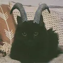 fromzerotonero