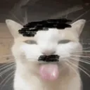 adolf_kitler1945 avatar