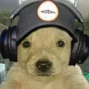 chinos_sg5o_17522 avatar