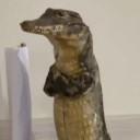 avatar FokusJustice™