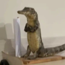 avatar FokusJustice™