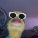 willvr0101