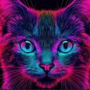 https://cdn.discordapp.com/avatars/1402380066876297246/cc43ed09e844d5c6d02a58dbcee78e1f.jpg?size=128