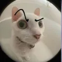 carlosxdtuuwu avatar