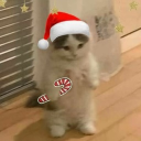 avatar krystalstark 🌙