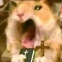 compamario22327 avatar