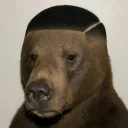 el_mascapollas avatar