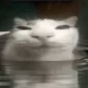 e_876