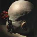 gvirus