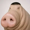 ign1t3