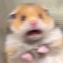 fenix212#4569's avatar