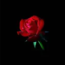 znow_005