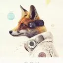 captain_fir3foxx