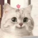 woshishuaibi114514 member profile picture