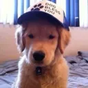 dexteer77777xddd_65602 avatar