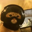 jorgitordev