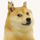 Community Member Avatar