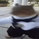 qsvte