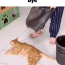 hisnipohere