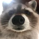 flipperg