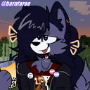 velpaw