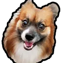 phixeyderp