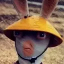 theonlycaretaker