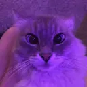 Аватар wizit_0