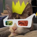 dredwerkz