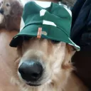 d34l3r1