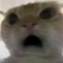 mianmmian64's Avatar