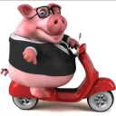 Аватар yaskibidiner