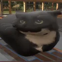 tigreweiner