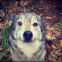 avatar xavier so based