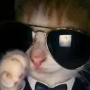 otpandy1