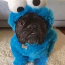 latemecrazy