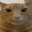 sundiver_93510 avatar