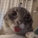 bonnieisacoolanimatronic avatar