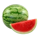 watermelon.11.