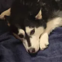 .snwy