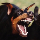 c0lorblind#4883's avatar