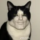 eldondelbonice_68867 avatar